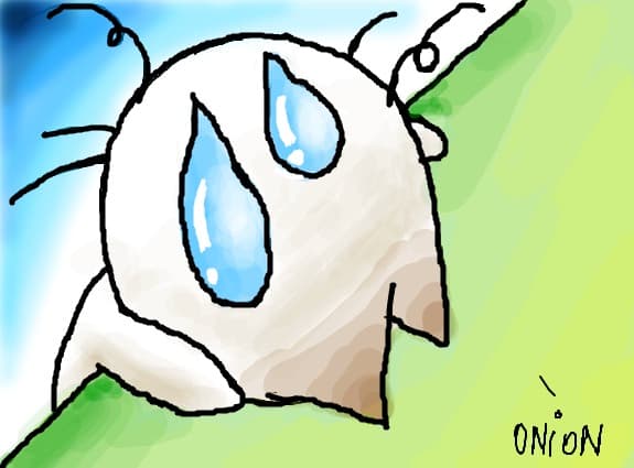 onion