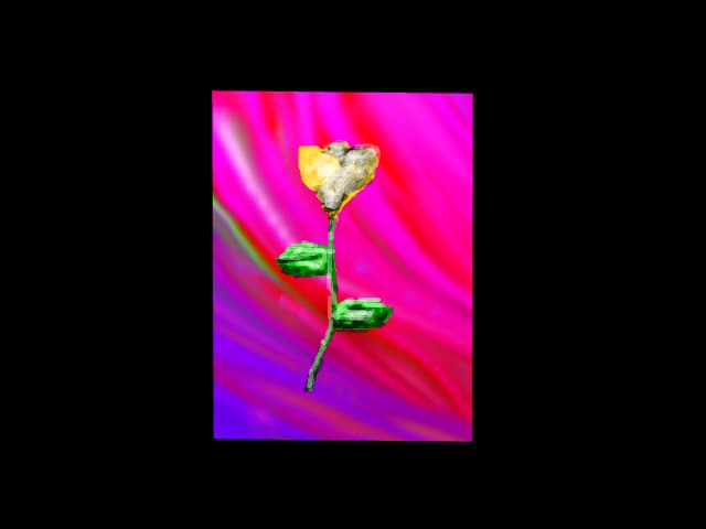 o floare pentru tine