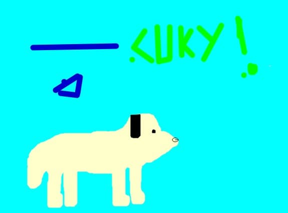 kuky
