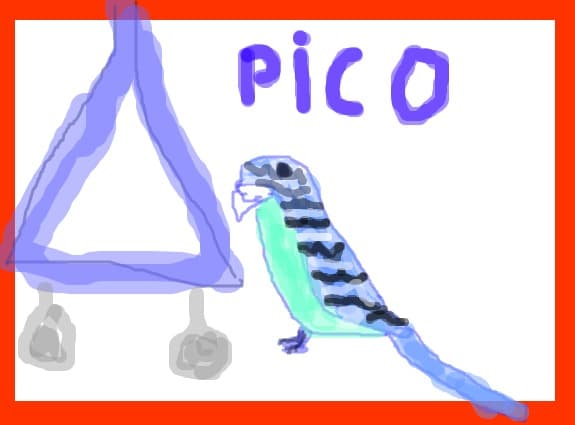 pico