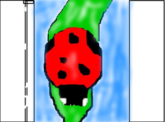 Buburuza