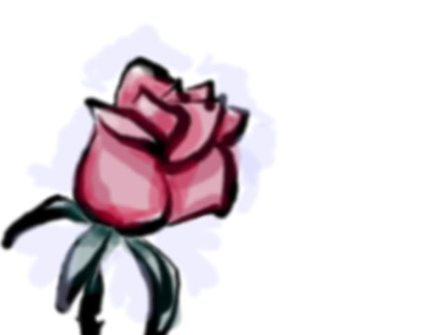 rose