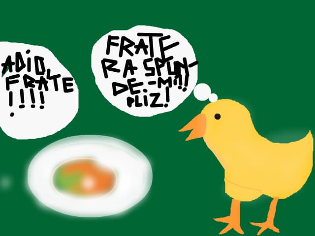 Frate raspunde