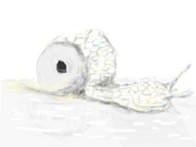 Melcul - hartie igienica