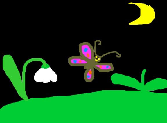 fluture de noapte