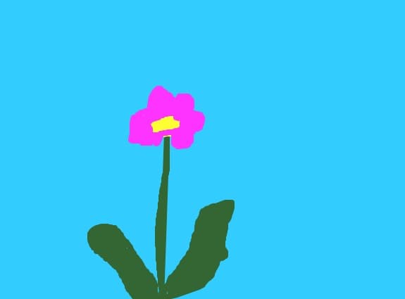 Floare de incepator