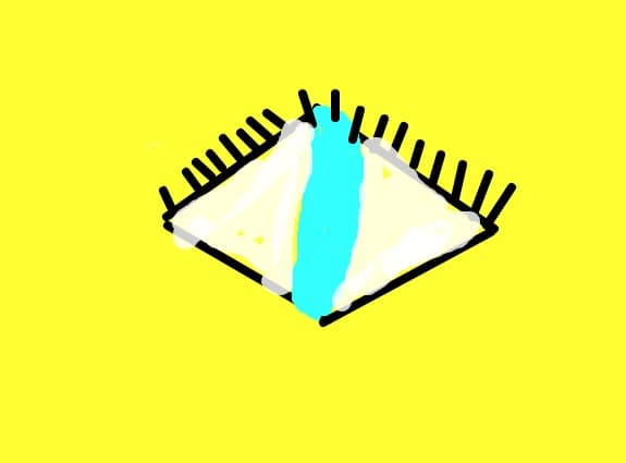 ochi.