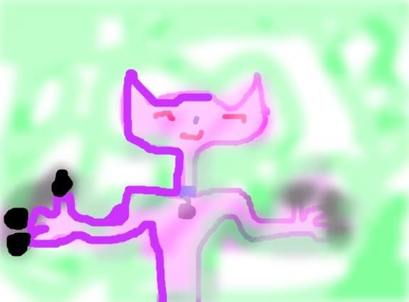 mr.cat