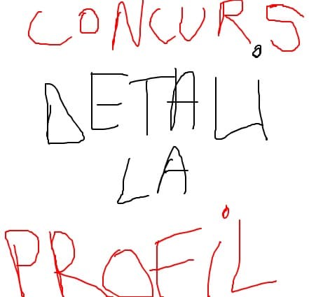 CONCURS DETALI LA PROFIL