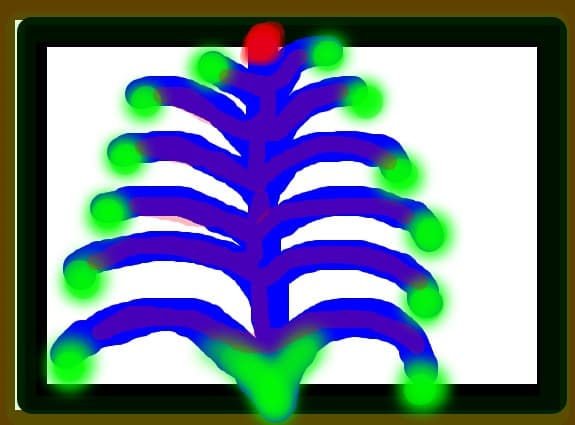 planta frumusetii