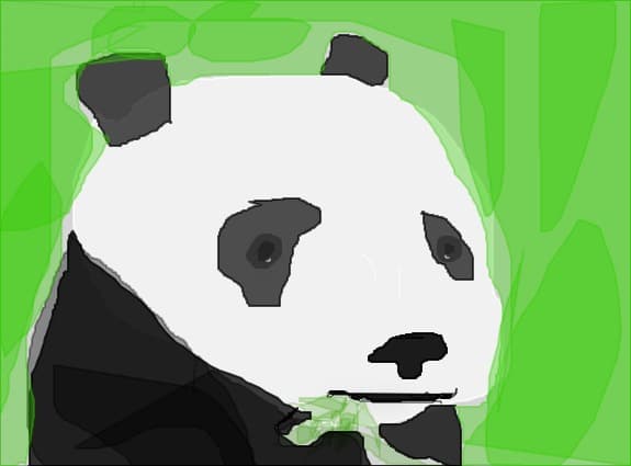 panda