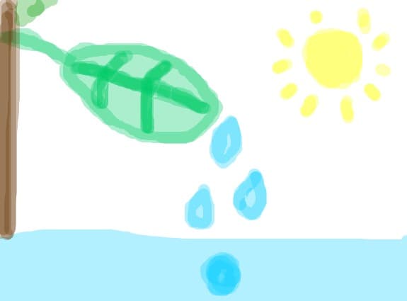 Picatura