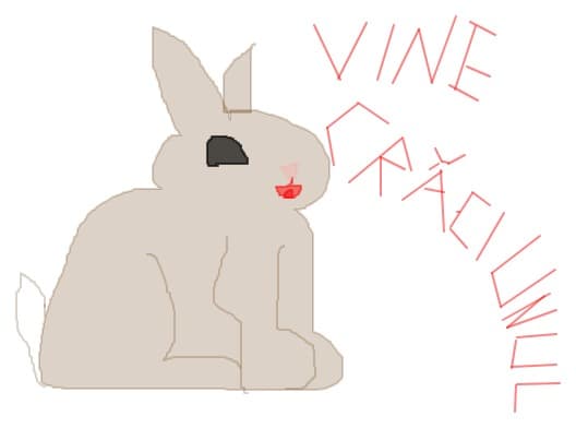 vine craciunul