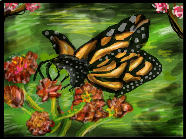 ...butterfly...