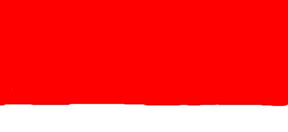 Steag Polonia