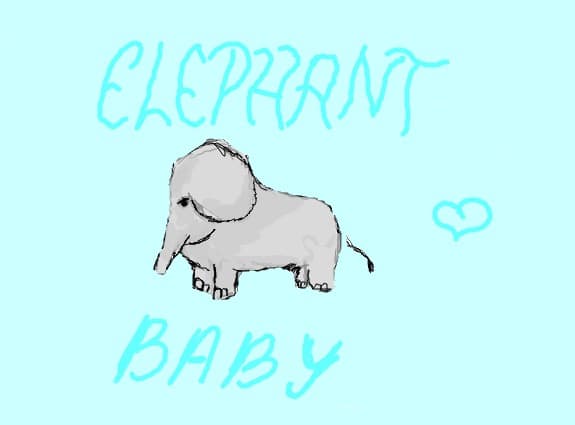 elephant