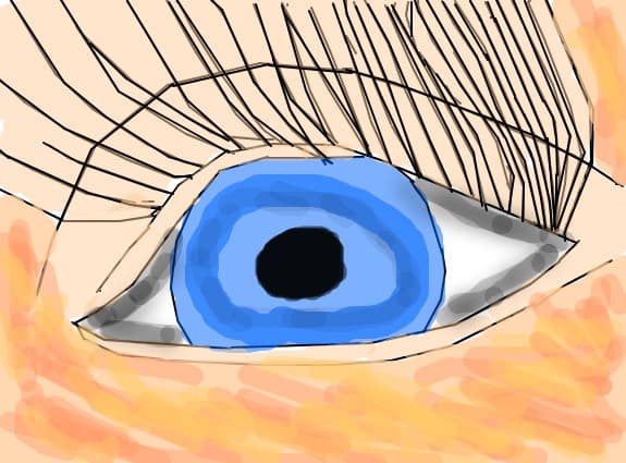 eye