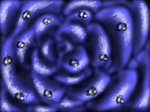 blue rose