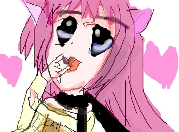 pt concursul lui kitty chan