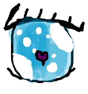 eye