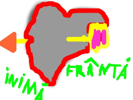 inima