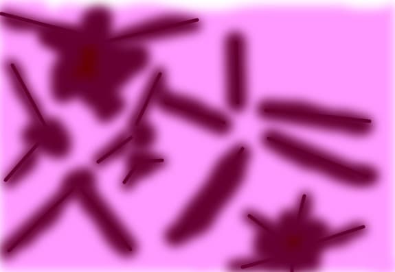 stelute12