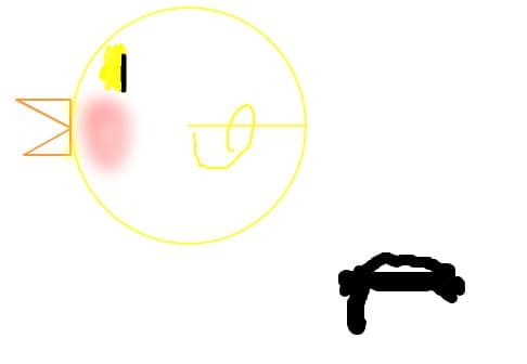 Pui