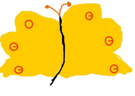 cica un fluture
