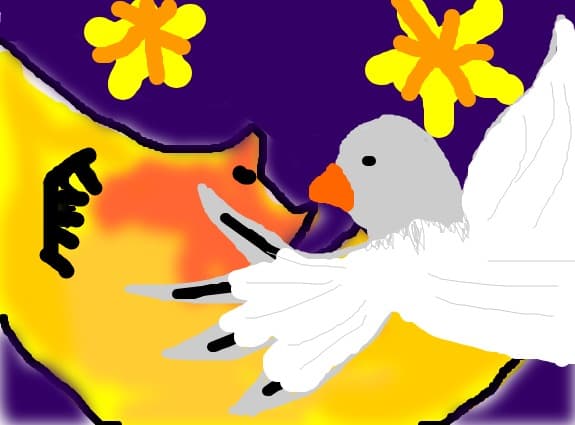 visul