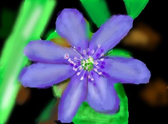 floare