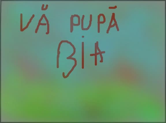 dragutza bia