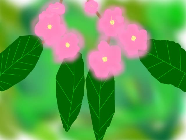 Flori de Mar :) [dati click...florile leam facut de fapt mia mari,dar e o problema cu siteul:-??]