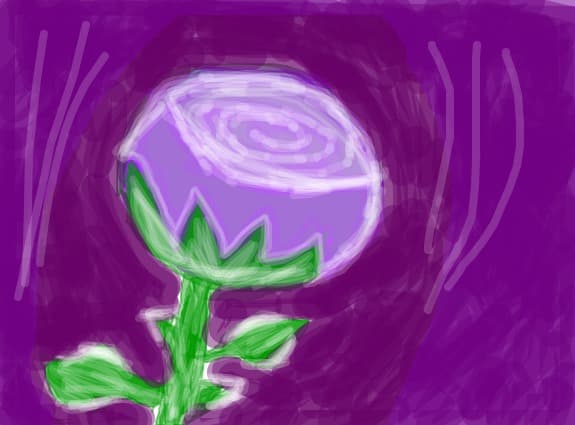 purple rose