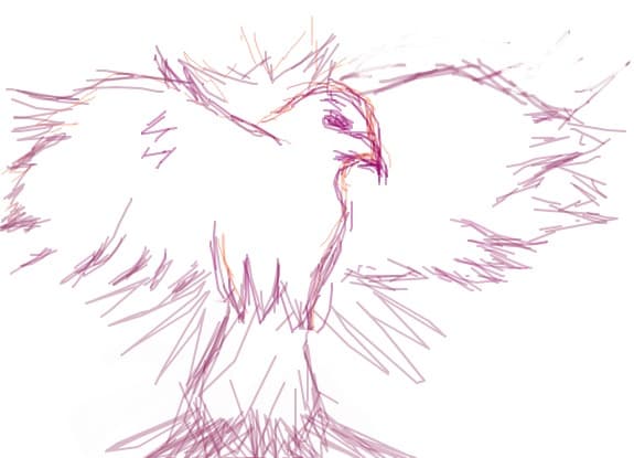 a purple pheonix