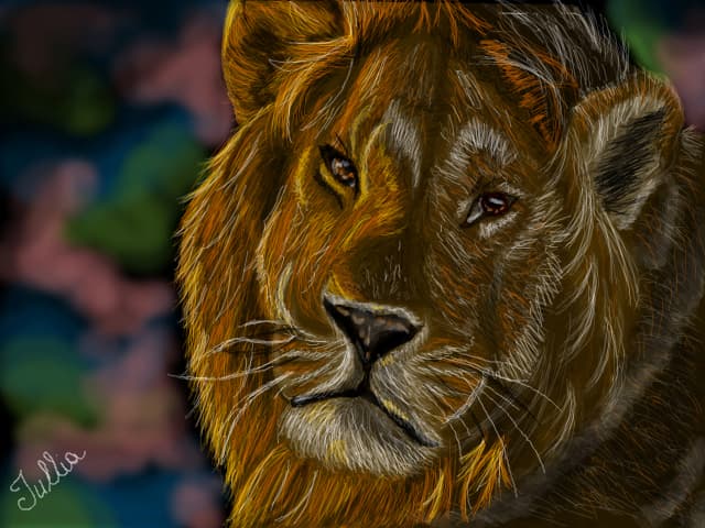 Lion