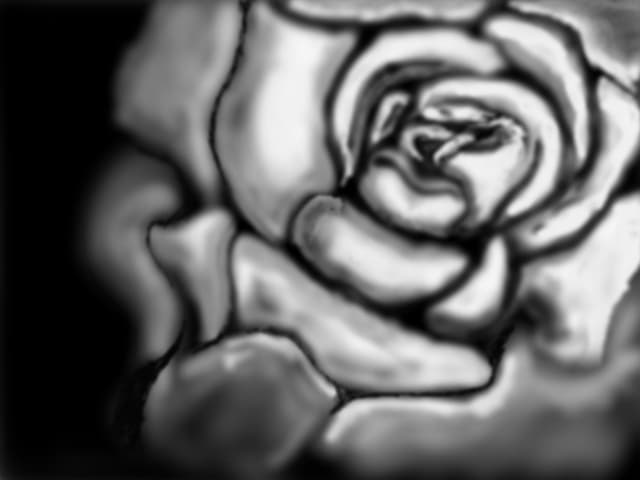 Black&amp;White Rose