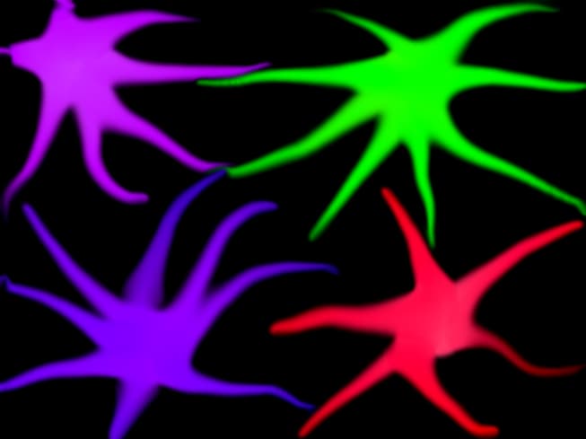 iuliutza