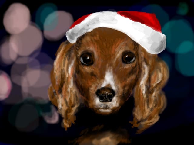 Santa Puppy