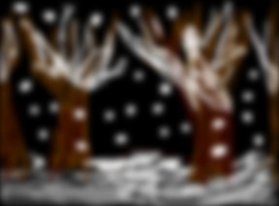 Winter trees