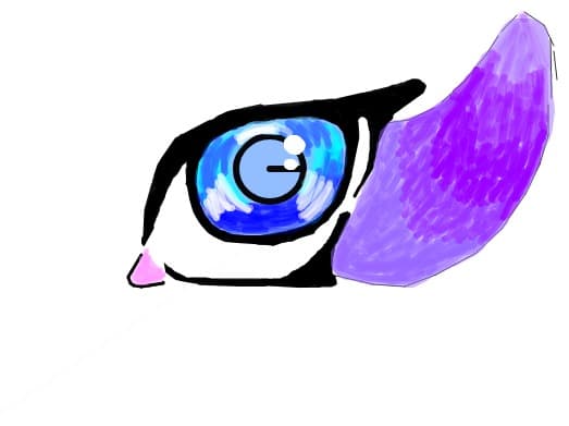 eye