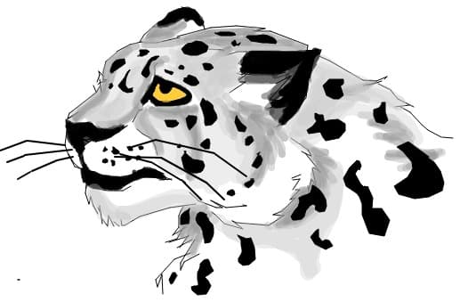 Pantera