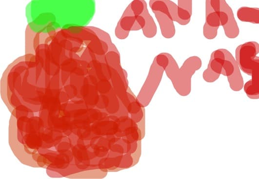 fructe