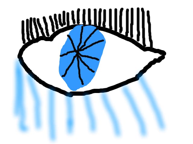 lavi