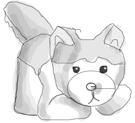 dog husky