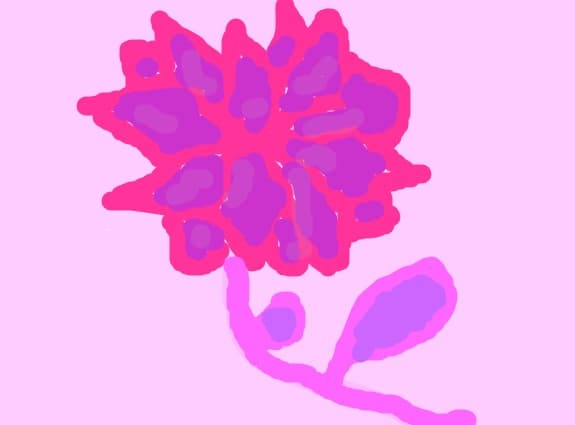 O FLOARE DE POVESTE