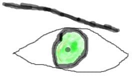 eye