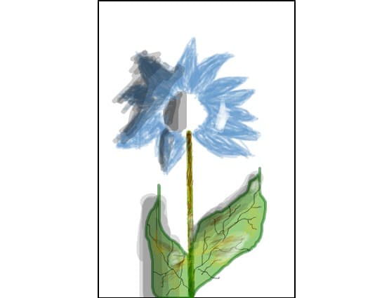 Floare pt dydyrock