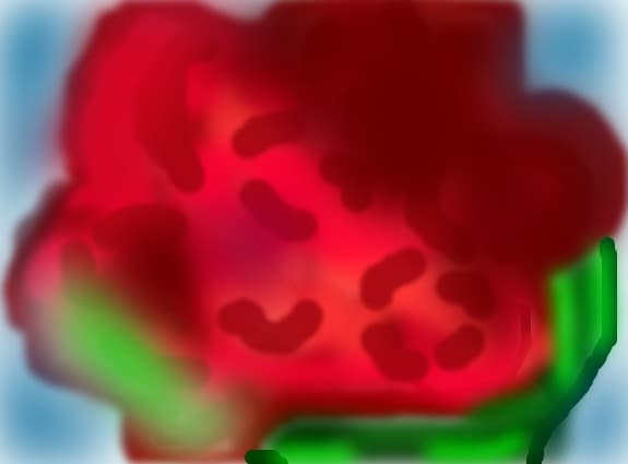 o floare, cred