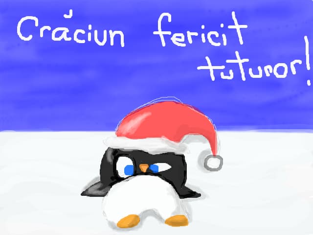 Craciun fericit tuturor !
