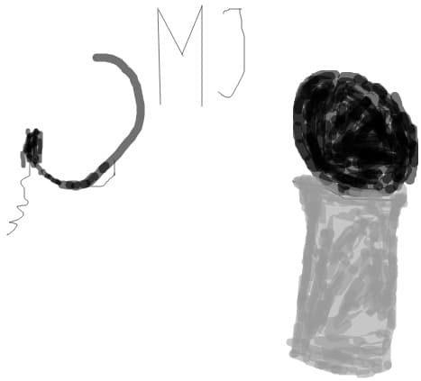 MJ microphone